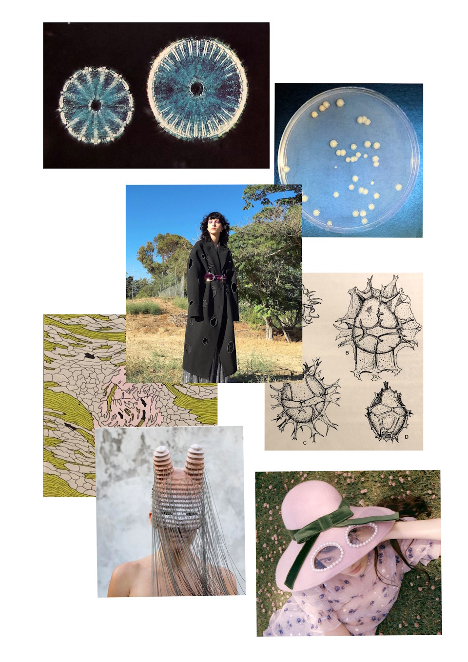 Gallery Item 10