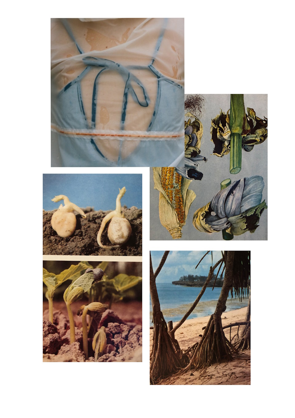 Gallery Item 13