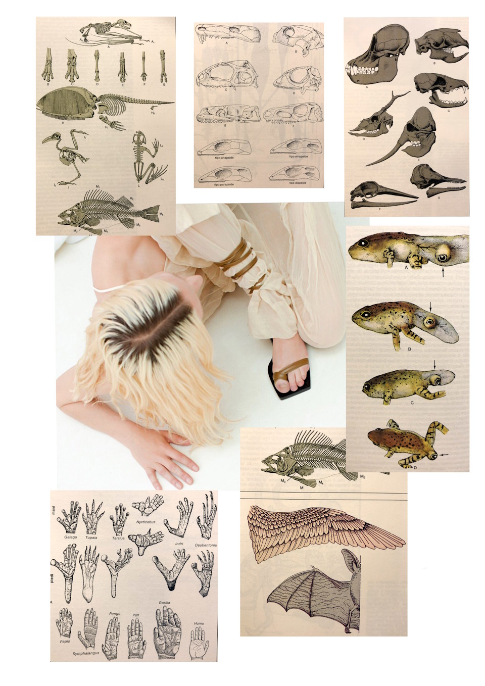 Gallery Item 14