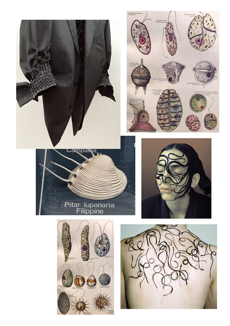 Gallery Item 16