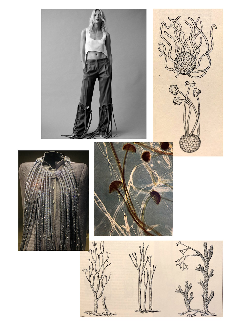 Gallery Item 17